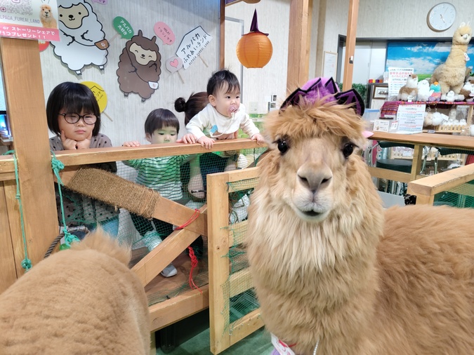 3歳以下無料！【1時間プラン】ドリンク＆クッキー付きの写真