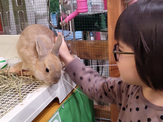 3歳以下無料！【通常プラン】の写真