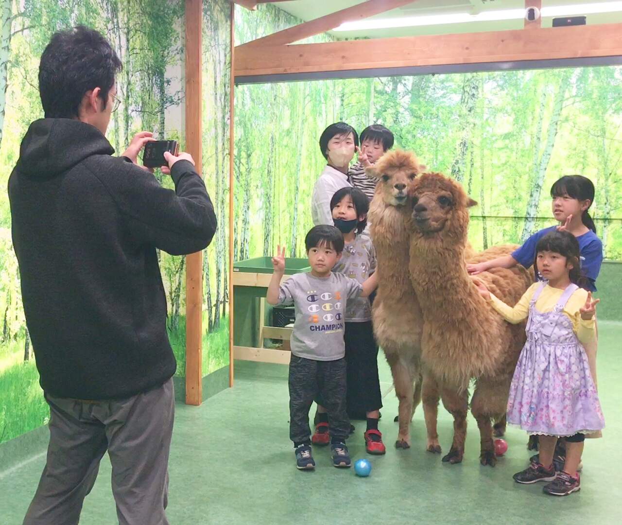 3歳以下無料！【通常プラン】の写真