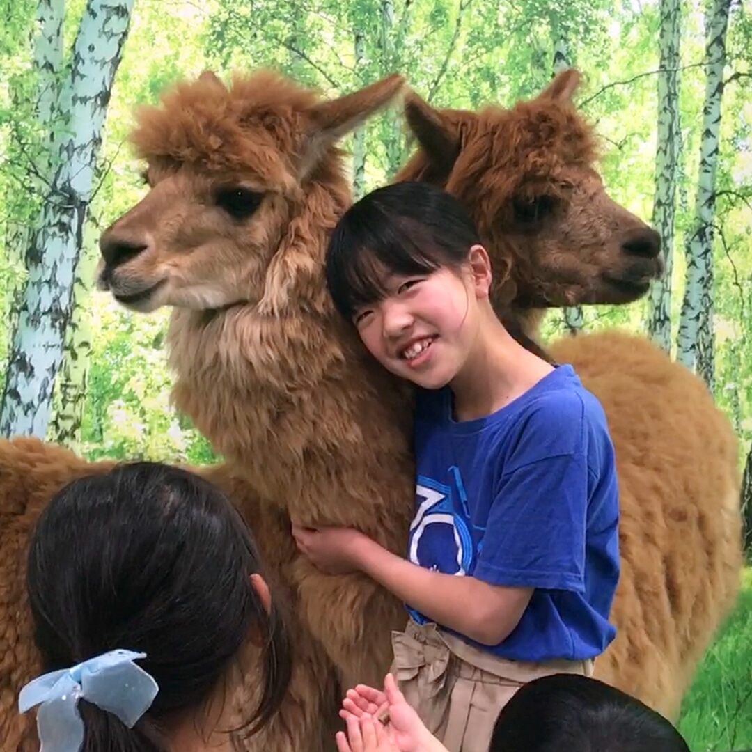 3歳以下無料！【通常プラン】の写真