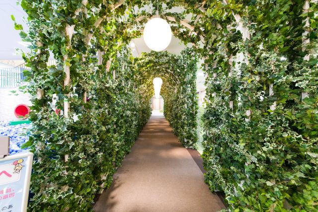 【休日券：ピュアキッズ既存会員用】ピュアキッズ加古川 大型室内公園 1日遊び放題フリーチケットの写真