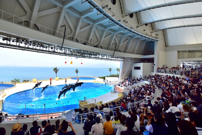 【入館券】マリンワールド海の中道の写真