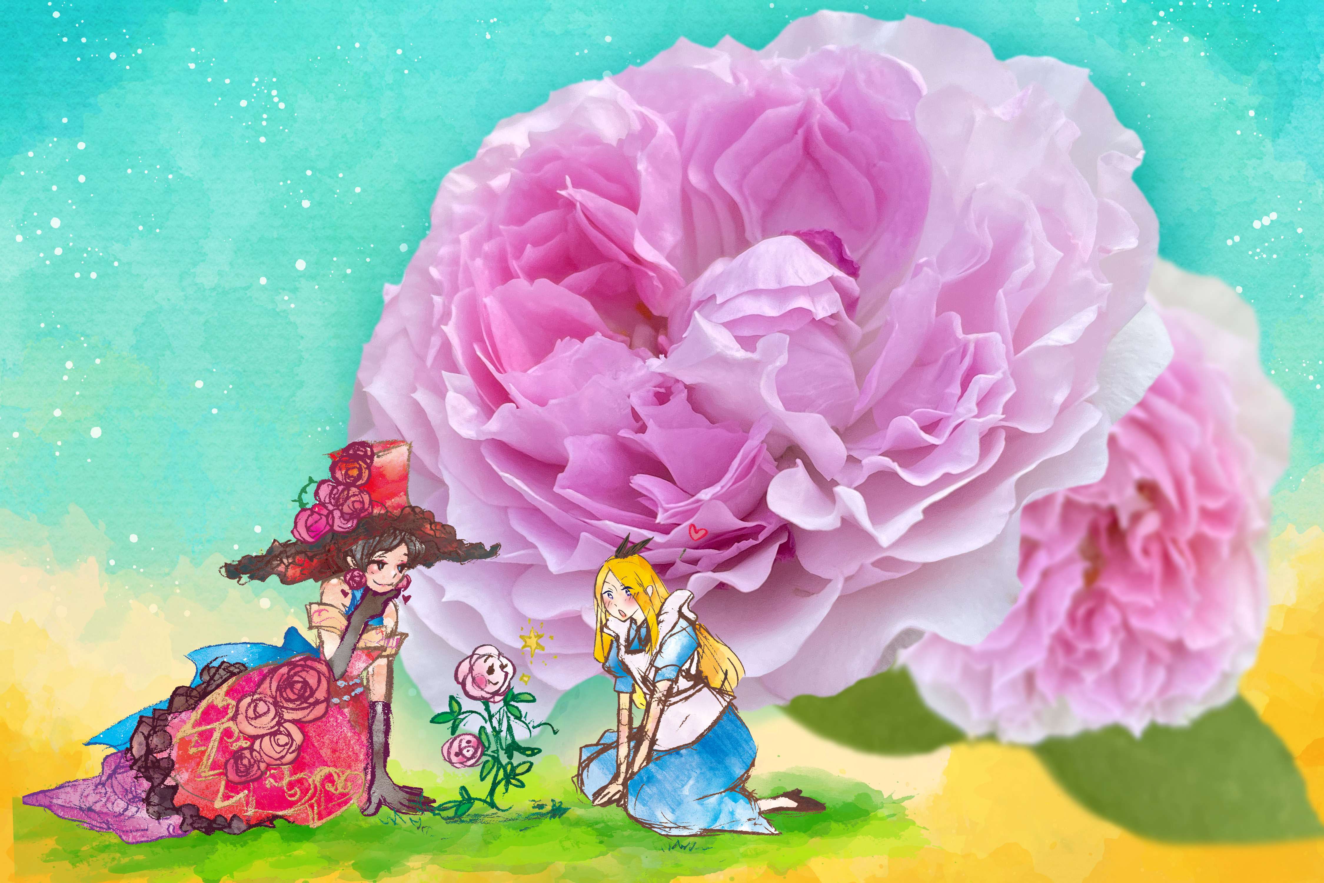 【100円割引】京成バラ園入園チケットの写真