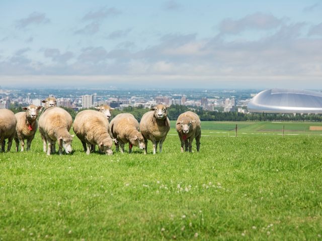 【10％割引】＼未就学児無料／スムーズ入場チケットの写真